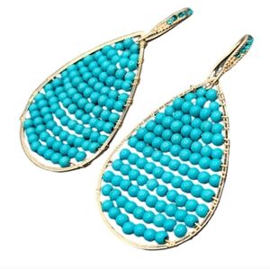 Turquoise Howlite Teardrop Earrings